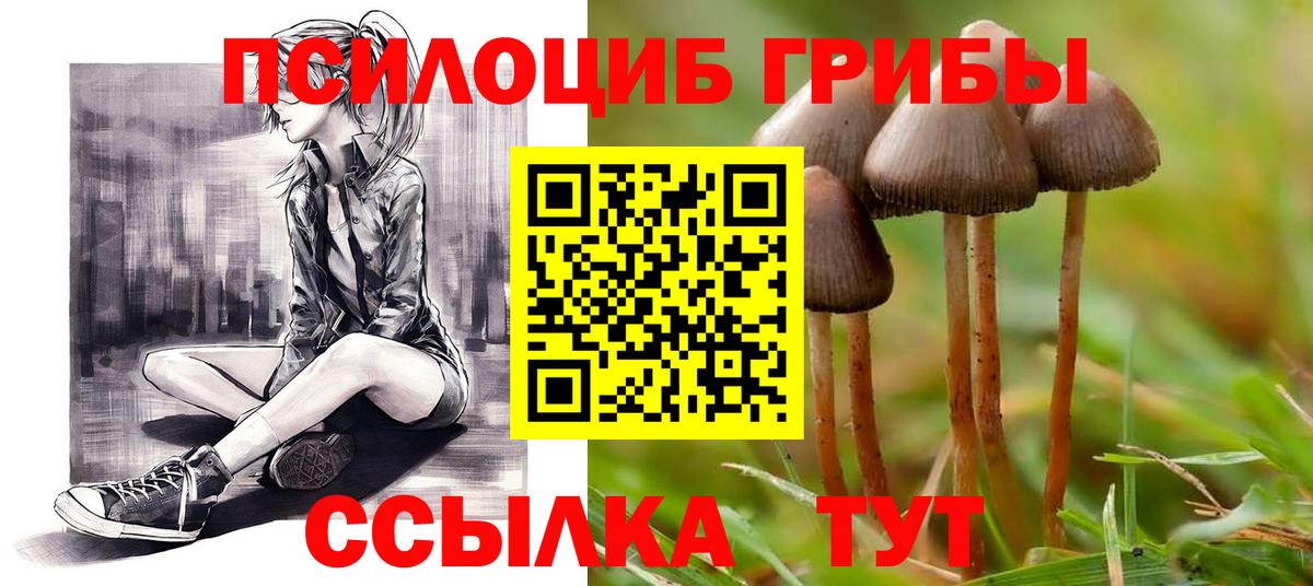 Псилоцибиновые грибы GOLDEN TEACHER  Вход с VPN  Курганинск 